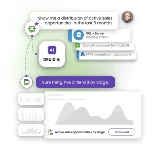 druid_transformative_gen_ai_customized_for_business